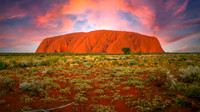 Uluru Sunset
