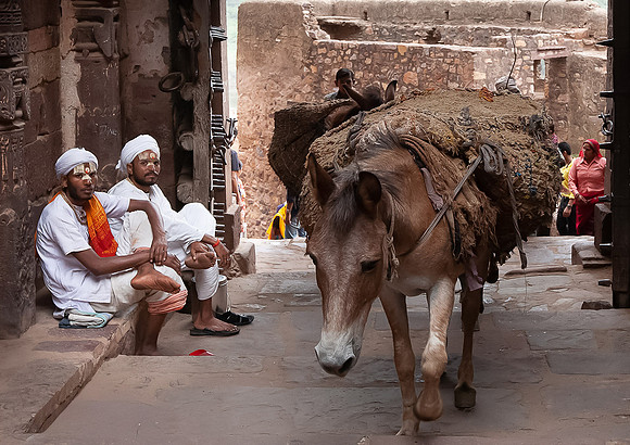Brahmin Men