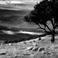 Maragle Valley