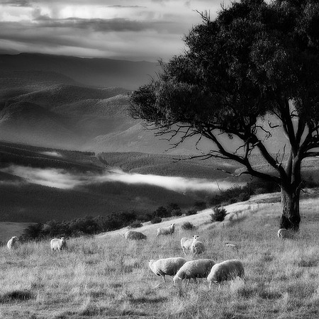 Maragle Valley