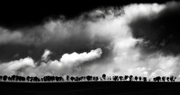 Storm on Tooma Hills
