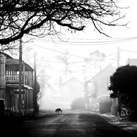 Black and White Mood