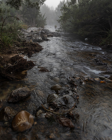 Cotter River