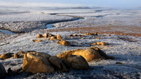 Frost On Long Plain