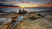 Rockpool v