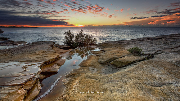 Rockpool v
