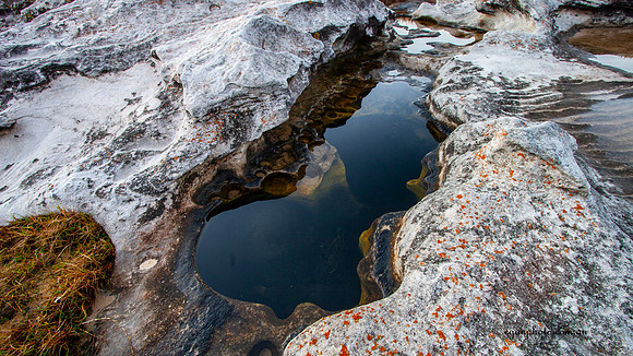 Rockpool at Cape Solander