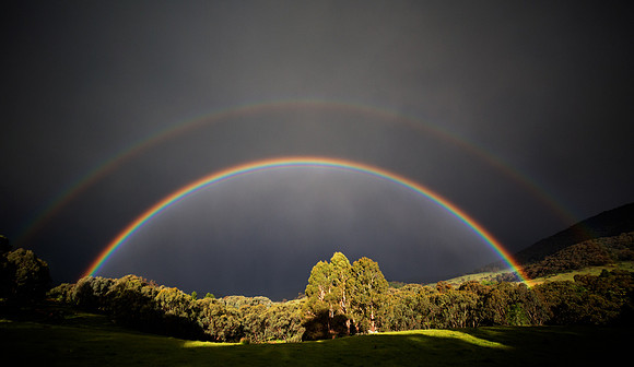 After the Storm at Pound Creek