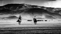 Mongol Cowboys